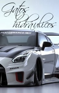 gato hidraulico carretilla, gato de carretilla hidraulico, gato de carretilla, gato hidraulico carretilla profesional